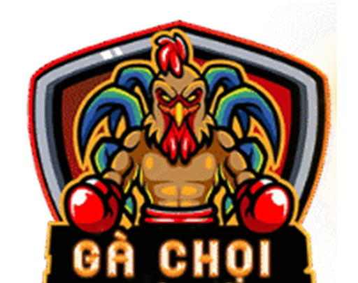 gachoikhanhhoa.com